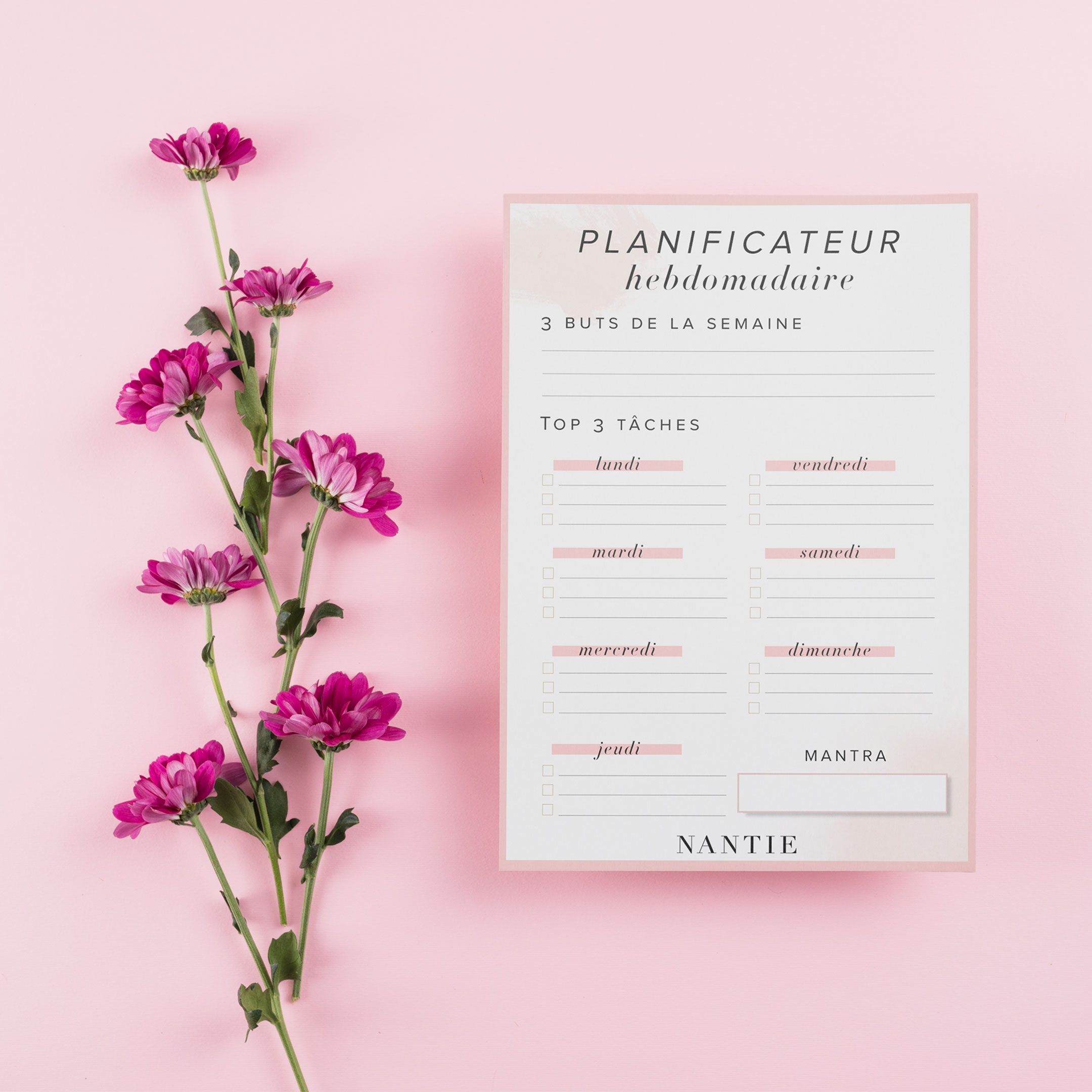Planificateur Hebdomadaire Imprimable - Nantie